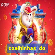 coelhinhas do brasil acompanhantes